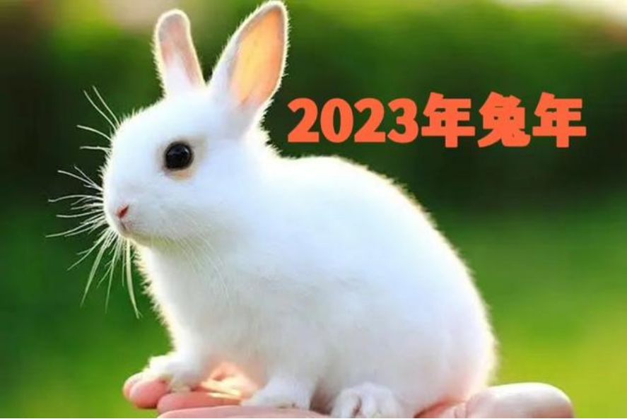 您2023年流年运势如何？兔年运程分析！ 